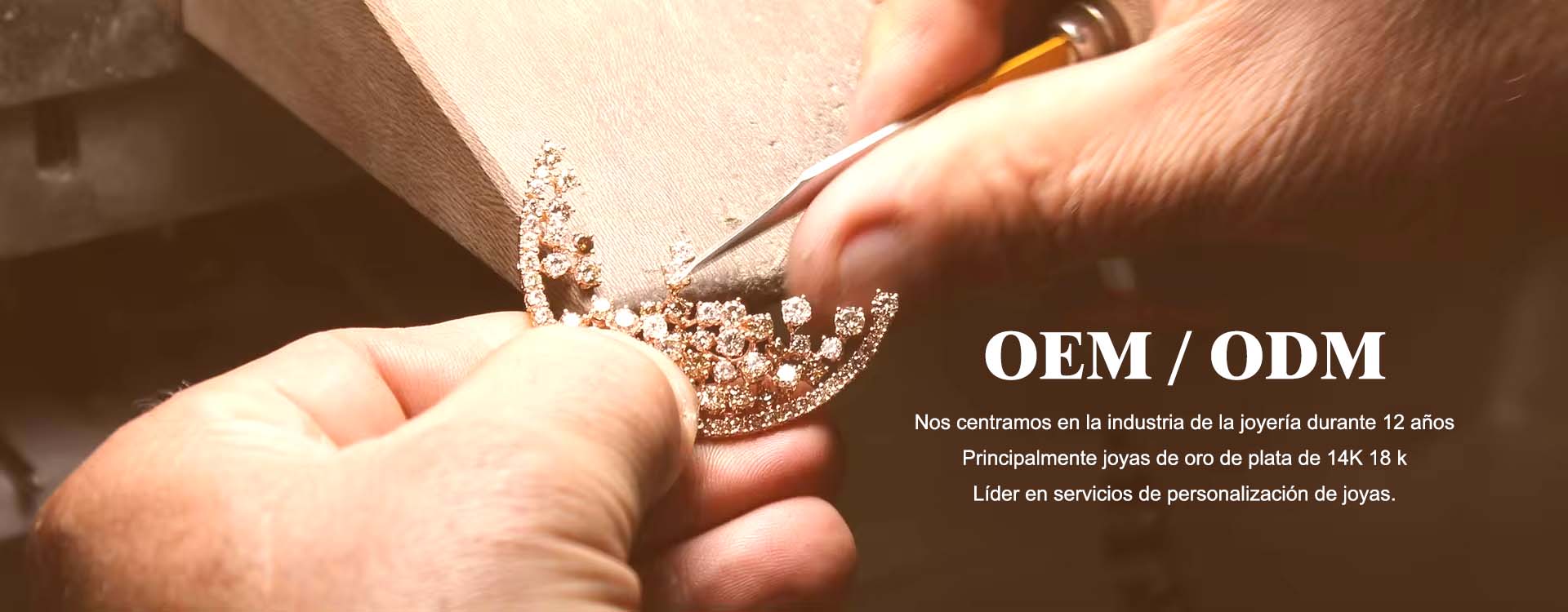 Company Profile